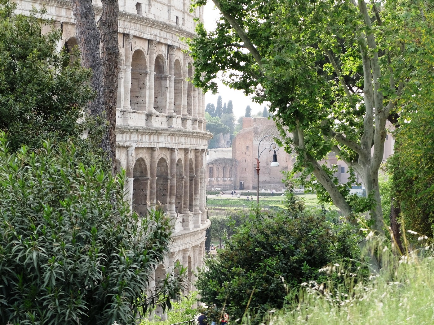 Premier aperçu du Colisée à Rome